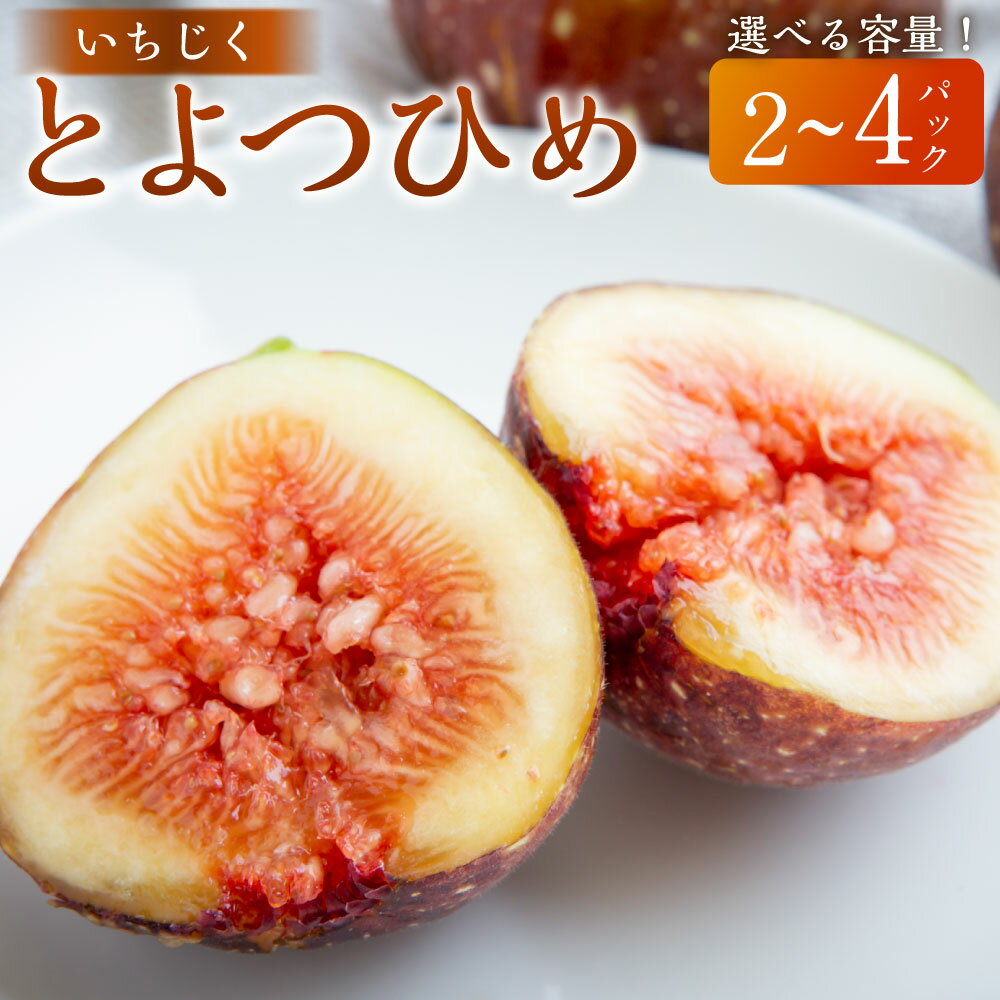 【ふるさと納税】【先行予約】渡辺農園 いちじく (とよみつひめ) 2パック・4パック 【2025年7月下旬から9月下旬 出荷予定】 いちじく フルーツ 果物 果実 常温 送料無料 福岡県 うきは市