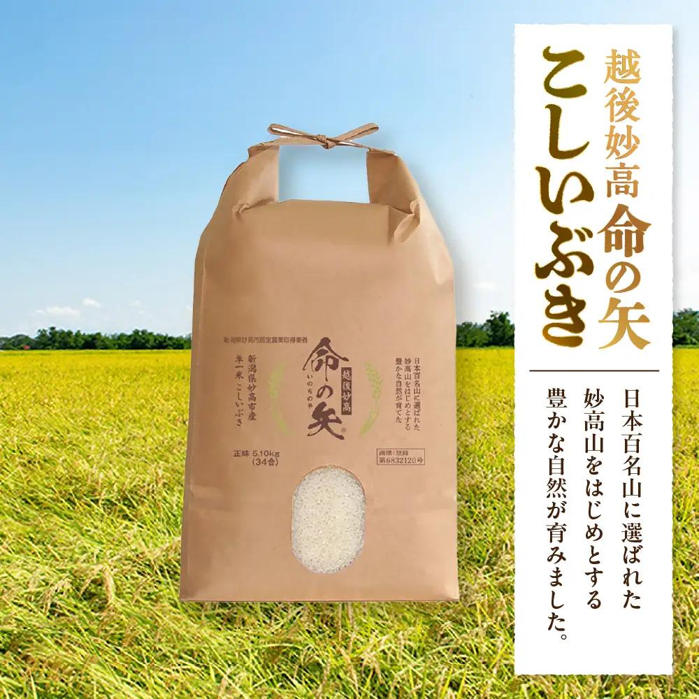 先行予約 令和8年産 越後妙高命の矢 こしいぶき 10.2kg 妙高産