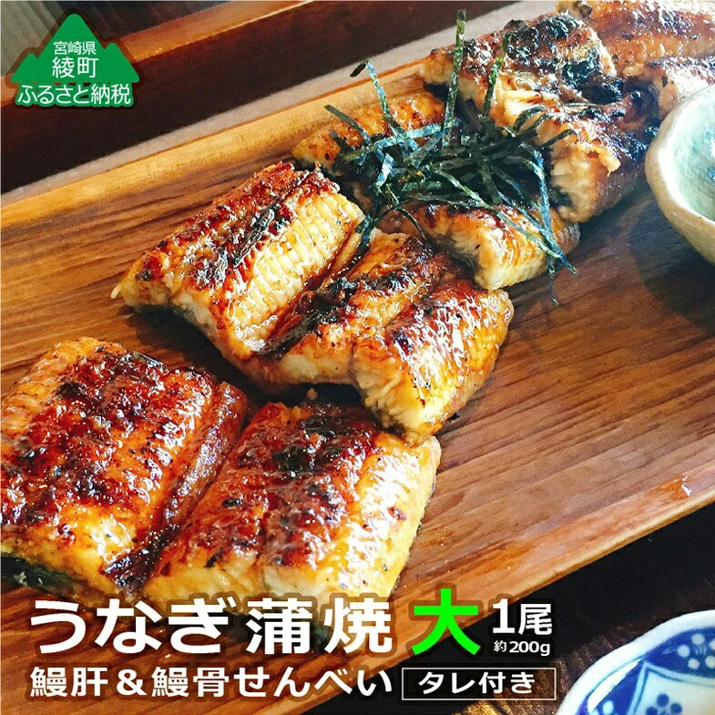 【ふるさと納税】うなぎ蒲焼（大サイズ）1尾 ～鰻肝＆鰻骨せんべい付き～【食工房 すみじ庵】