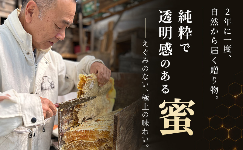 信州日本みつばち 和蜂蜜（600g）