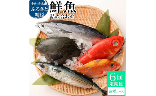 <6回定期便> 季節の鮮魚 おまかせお楽しみセット（翡翠コース）鮮魚 ボックス 詰め合わせ 天然魚 食べ比べ 魚介類 海鮮料理 魚 新鮮 刺し身 煮付け お楽しみ 定期便 6ヶ月 高知 【J00049】