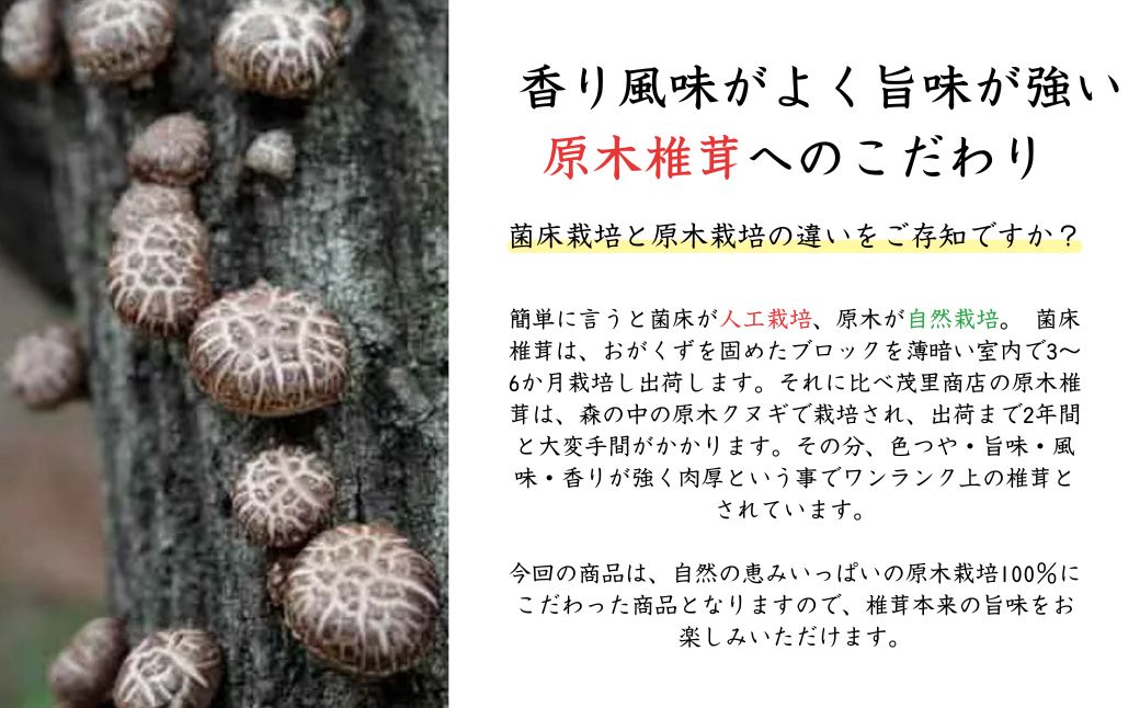 【訳あり】 山盛り 不揃い 椎茸 500g | 椎茸 シイタケ 乾燥椎茸 きのこ 茸 家庭用 乾燥シイタケ 国産 九州 大分県 大容量 送料無料 津久見市【tsu006006】