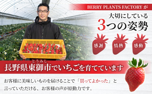 長野県産 いちご「とちおとめ」1kg以上｜BERRY PLANTS FACTORY 東御市