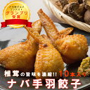 手羽 椎茸 ナバ手羽餃子 10本 餃子 しいたけ どんこ 鶏肉餃子 ぎょうざ 宮崎県産 送料無料