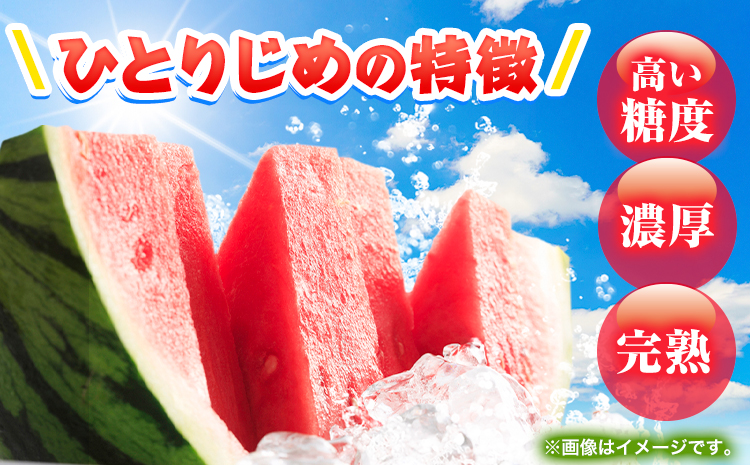 紀州和歌山産小玉スイカ「ひとりじめ」1玉魚鶴商店《6月中旬-7月上旬頃出荷》スイカスイーツフルーツ果物野菜スイカすいか夏旬---wsh_utr18_g67_23_10000_1800g---