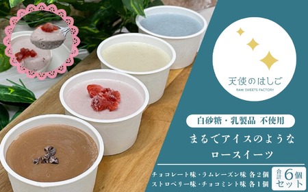 まるでアイスのようなロースイーツ 4種 6個セット チョコレート ラムレーズン チョコミント ストロベリー ロースイーツ 冷凍 記念日 お祝い クリスマス ナチュラル ヘルシー ヴィーガン スイーツ ベジタリアン 【天使のはしご】 / 岩手県 遠野市