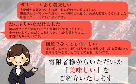 うなぎ蒲焼 無頭 2尾 | うなぎ蒲焼