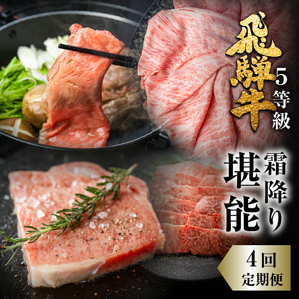 【ふるさと納税】飛騨牛 霜降り堪能 4回 定期便 お楽しみ しゃぶしゃぶ ステーキ 焼肉 すき焼き 肉の沖村 牛肉 肉 熨斗掛け [Q956xch] 飛騨市 どやな飛騨市