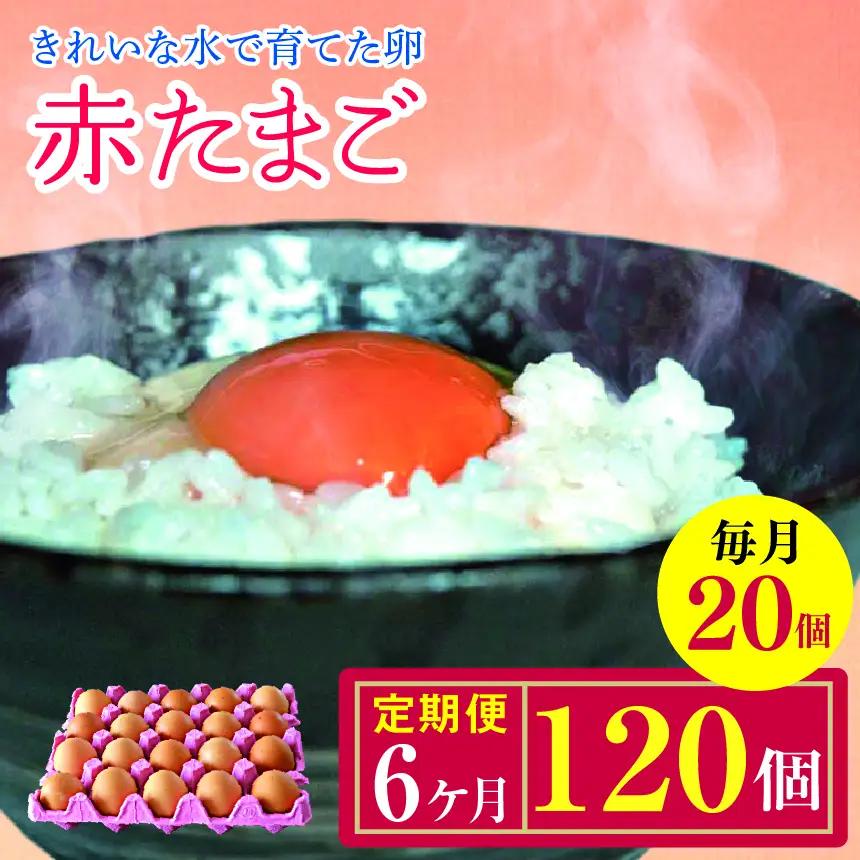 【6回定期便】きれいな水で育てた卵 赤たまご 20個  | 保坂農場