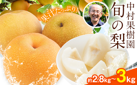 梨 旬の梨 約 2.8kg ～ 3kg 豊水 あきづき のいずれか 旬 中村果樹園 《8月下旬-9月中旬頃出荷》熊本県 荒尾市 なし フルーツ 果物 新鮮  美味しい梨 旬の梨 ジューシー梨 フルーツ