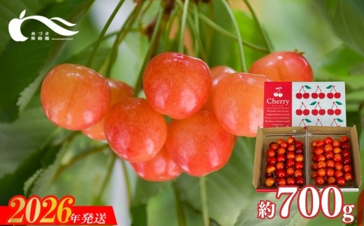 No.3263さくらんぼ（佐藤錦又は紅秀峰約700g)【2026年発送　先行予約】
