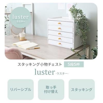 ふるさと納税 小野市 スタッキング小物チェスト luster(ラスター) 5段5杯【ホワイト】