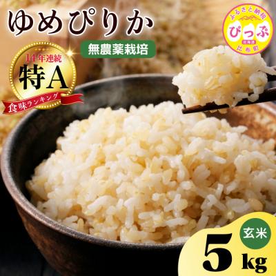 ふるさと納税 比布町 今野農園　ゆめぴりか　玄米5kg