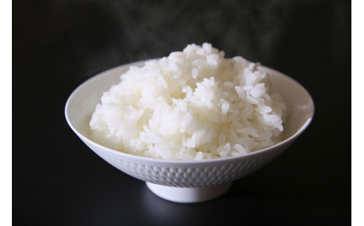 佐賀県産ゆめしずく（特A） 白米4.5kg×６回定期便 B751