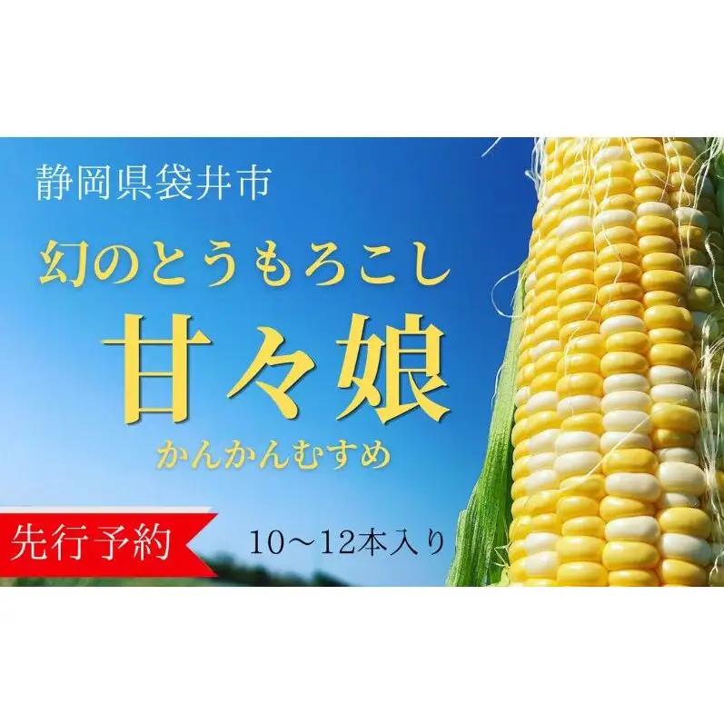 とうもろこし 先行予約 数量限定 甘々娘 コーン とうもろこし