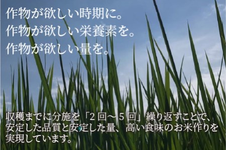 【令和5年産】【特別栽培米】福井県産 コシヒカリ 10kg ～化学肥料にたよらない有機肥料100%～ ネオニコフリー（玄米）[A-13405_02]