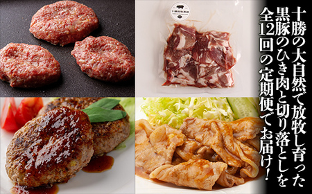 十勝鹿追町産自然放牧黒豚　ひき肉＆切り落としセット（1,950ｇ）定期便12カ月　【人気  北海道  送料無料 】SKN017