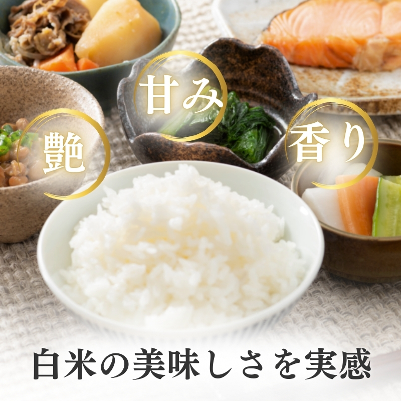 令和7年産 新潟県上越産こしひかり 精米 5kg 6か月定期便 上