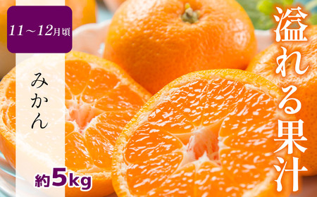 【 定期便2回 】 熊本 人気 フルーツ | 果物 白いちご 淡雪 不知火 デコポン みかん いちご イチゴ メロン すいか スイカ アイス キャンディー クレープ みかん 柑橘