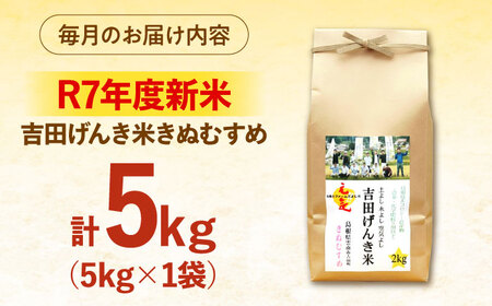 【全3回定期便】【新米】吉田げんき米きぬむすめ 5kg 島根県雲南市/有限会社藤本米穀店 ｜ブランド米 きぬ娘 白米 精米 コメ 5キロ[AIDB132]