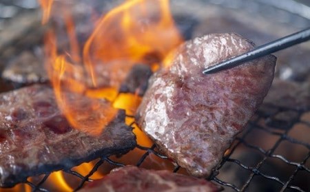 E-53 【豊後・米仕上牛】焼肉食べ比べ（700g）