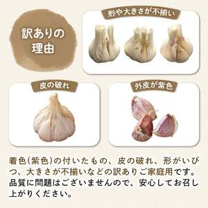＜先行予約！2027年5月上旬以降順次発送予定＞＜訳あり・家庭用＞香川県産 生にんにく(約2kg) 国産 野菜 生ニンニク 産地直送 【man068】【Aglio nero】