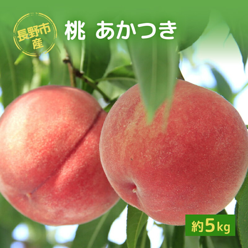 【ふるさと納税】長野市産桃「あかつき」約5kg 　お届け：2025年7月下旬～8月上旬
