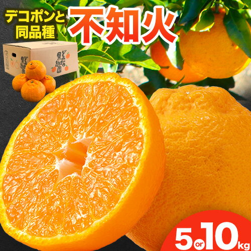 【ふるさと納税】不知火 ( デコポン と同品種 ) しらぬい 約 5kg または 約 10kg (L〜5Lサイズ) どの坂果樹園《2026年2月中旬-4月上旬頃出荷》 和歌山県 日高町 しらぬい 不知火 デコポン でこぽん 旬 果物 フルーツ 柑橘 産地直送 送料無料