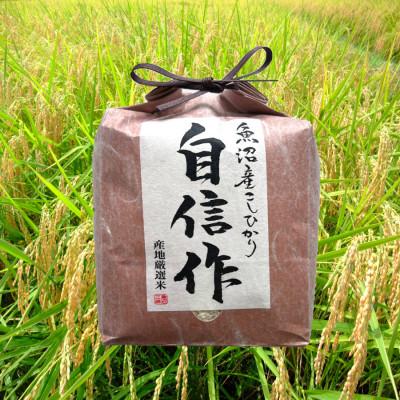 ふるさと納税 十日町市 【令和7年産】魚沼産コシヒカリ自信作　2kg