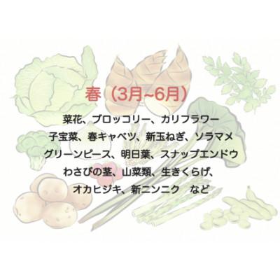 ふるさと納税 南伊豆町 湯の花 旬の野菜セット 10〜13品 |  | 01
