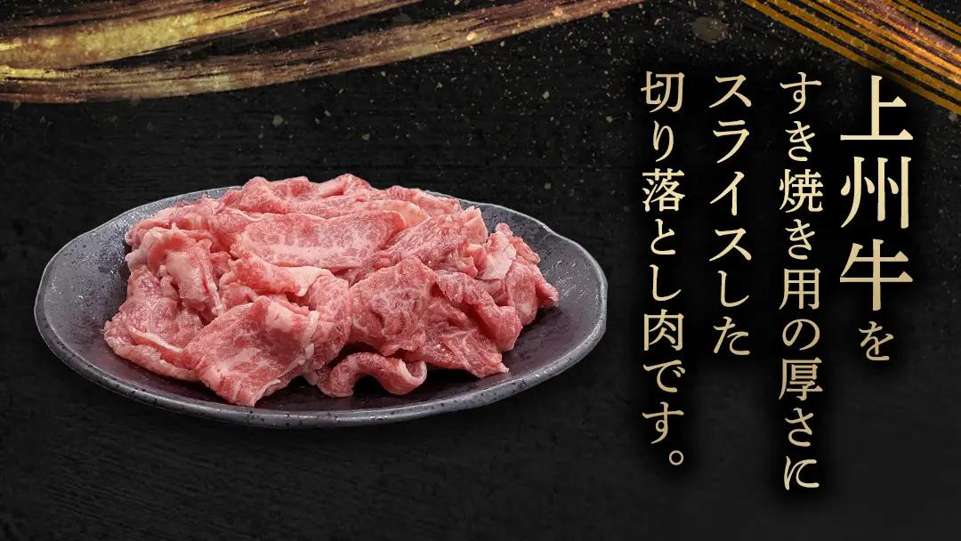 【 定期便 隔月 3回 】上州牛 切り落とし 1kg ( 500g × 2パック ) [AH029tu]