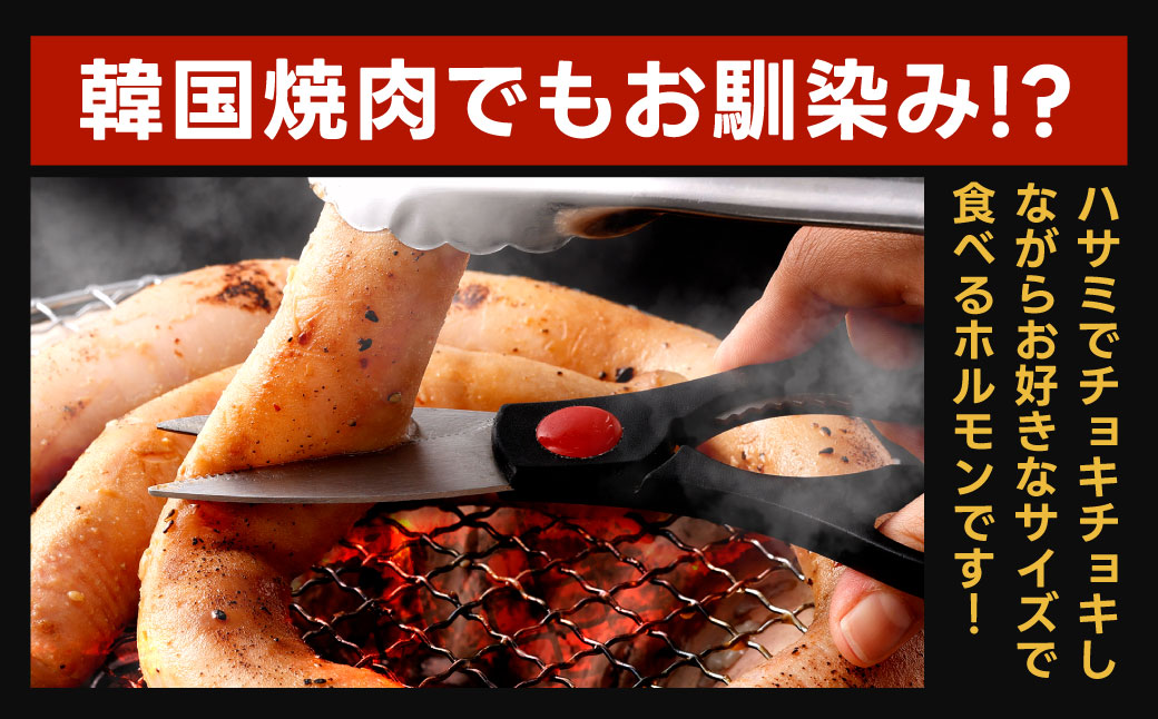 1本焼き たれ漬け 極太 ほるもん 太腸版 新鮮 ホルモン たれ タレ モツ もつ 牛モツ 牛もつ ぷりぷり 旨味 黒毛和牛 丸腸 真空パック 国産 九州産 冷凍