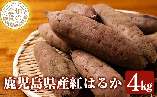 畑の金貨・鹿児島県産紅はるか5kg(生芋)鹿児島県産サツマイモべにはるかを独自の貯蔵庫で熟成させ甘さ溢れる蜜芋に仕上げたさつまいも【甘いも販売所】姶良市 国産