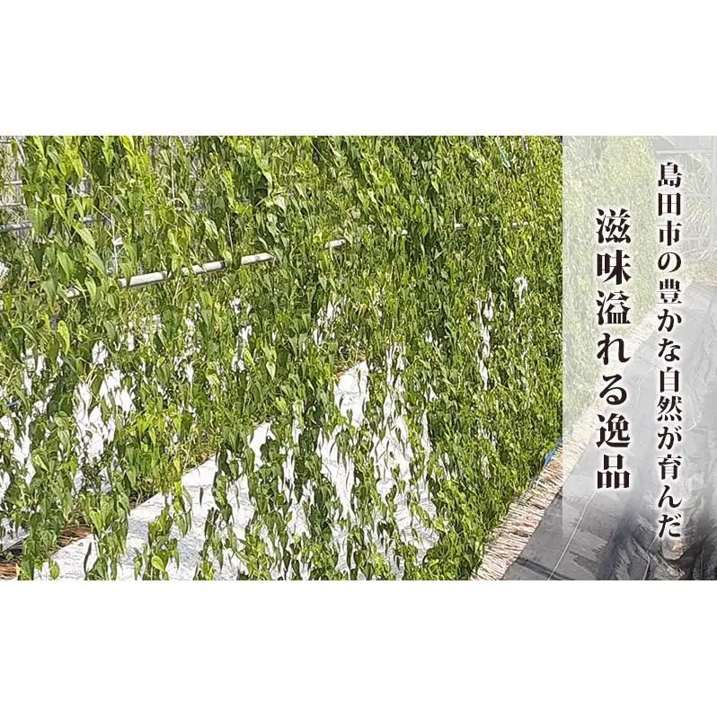 冷凍とろろ汁（かつお出汁）（さば味噌汁）各1個 とろろ 自然薯 じねんじょ 山芋 山かけ とろろご飯 そば うどん 小分け 冷凍 静岡 島田市