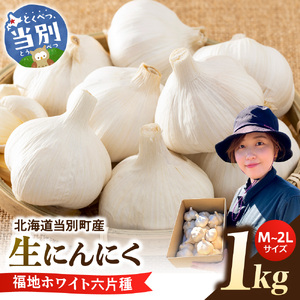 【令和8年先行受付】生にんにく（福地ホワイト六片種）1kg にんにく