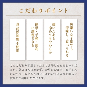 【訳あり】安心安全！お手軽調理！ 氷見産まいわし 業務用みりん干し セット 【氷見みりん干し専門店】 味醂干し 干物 おかず 魚 富山県 氷見市