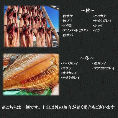 ふるさと納税 新ひだか町 北海道産 旬のお魚 4〜5種 お楽しみ詰め合わせ セット |  | 03