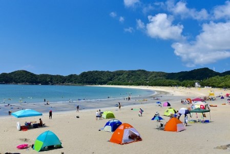 さざえ　【 サザエ 】