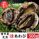 【ふるさと納税】種市産天然活あわび(訳あり) 4～6個程度(約500g) 冷蔵 鮑 お刺身 ステーキ 産地直送