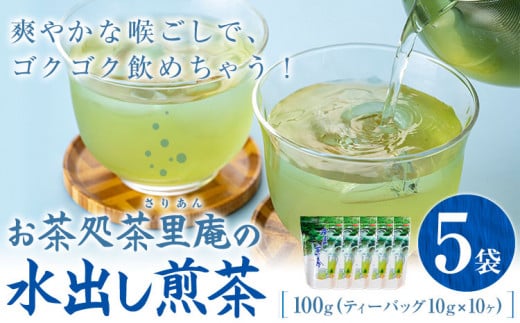 水出し煎茶 100g(10g×10個)  5袋 お茶処茶里庵 さりあん《90日以内に出荷予定(土日祝除く)》徳島県 美馬市 お茶 茶 緑茶 日本茶 煎茶 深蒸し煎茶 深蒸し 水出し ティーバッグ ティーパック