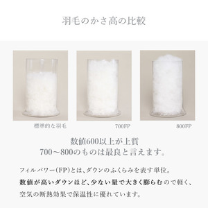 800FP本掛け　シングル（ポーランド産ホワイトマザーグースダウン使用）