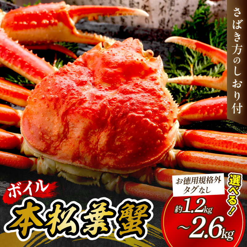 【ふるさと納税】【先行予約】【 国産日本海の松葉蟹をボイルでお届け！】ボイルでお届け。ボイル本松葉蟹 小3〜6杯（規格外品タグなし）＜12月10日〜2月末までのお届け＞選べる 内容量 国産 カニ 魚介類 魚貝類 海の幸 カニ クリスマス 年内配送 年末年始配送