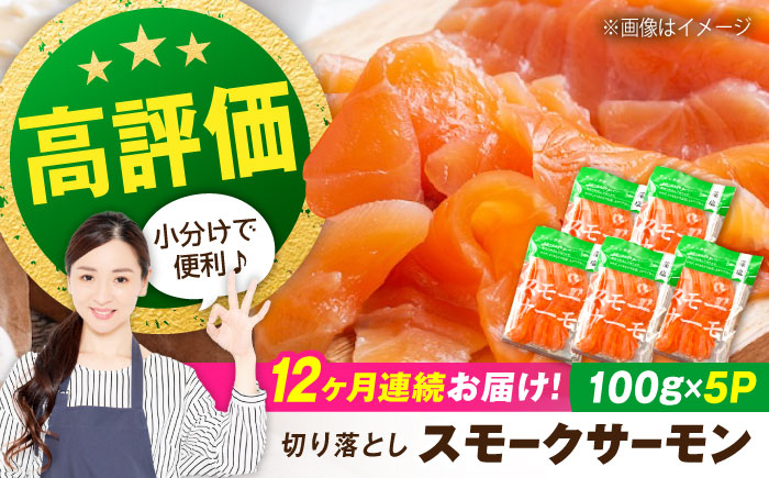 
            【定期便】スモークサーモン （切り落とし）100ｇ×5パック×12回　滋賀県長浜市/株式会社中村屋 [AQAJ022]  サーモン スモークサーモン 切り落とし 小分け 定期便 燻製 薫製 サーモン 前菜 おつまみ
          