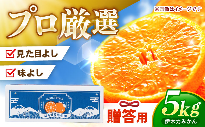 ※【2025年11月発送分／先行予約】伊木力みかん「はなまるみかん」（贈答用）5kg / 伊木力みかん みかん 蜜柑 ミカン 柑橘 / 諫早市 / 株式会社山野果樹園 [AHCF003]