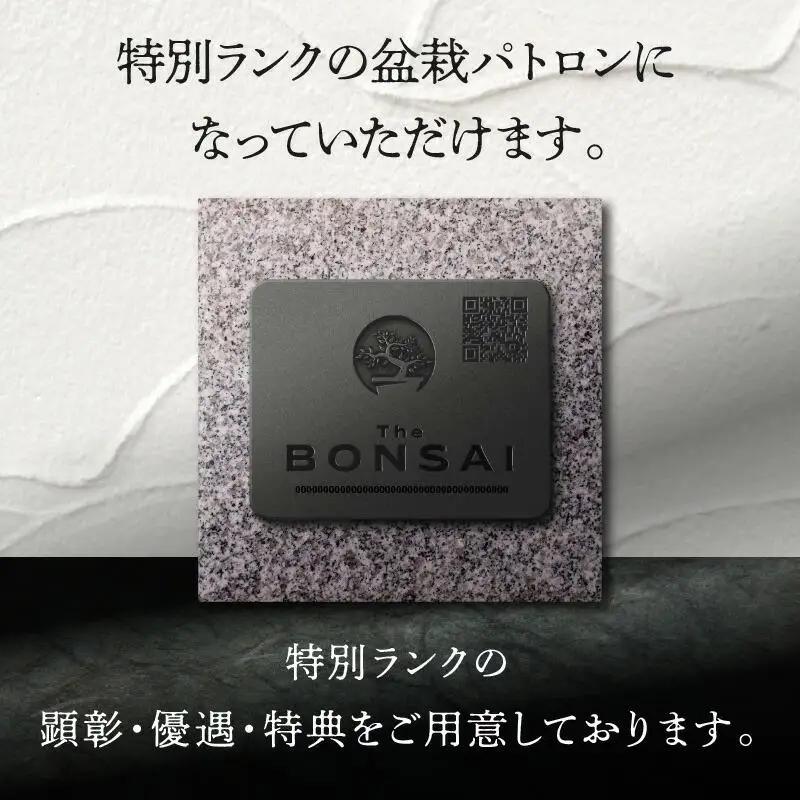 【ふるさと納税】盆栽パトロンNFT 特別ランク（デジタル商品・実物の盆栽は含まれません）