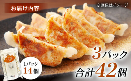 【3パック】餃子屋ヒロの ほんのりにんにく餃子【餃子屋ヒロ】開成町 餃子 点心 惣菜 冷凍[BDAS005-2]