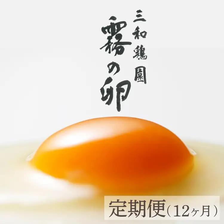 【TVで紹介】【12回定期便】卵 霧の卵 120個 定期便【北海道・沖縄・離島配送不可】