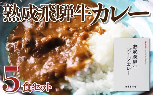 熟成飛騨牛カレー レトルト 詰め合わせ 5食セット 国産和牛カレー 観光地応援 熨斗対応 レトルトカレー 保存食 常備食 ビーフカレー
