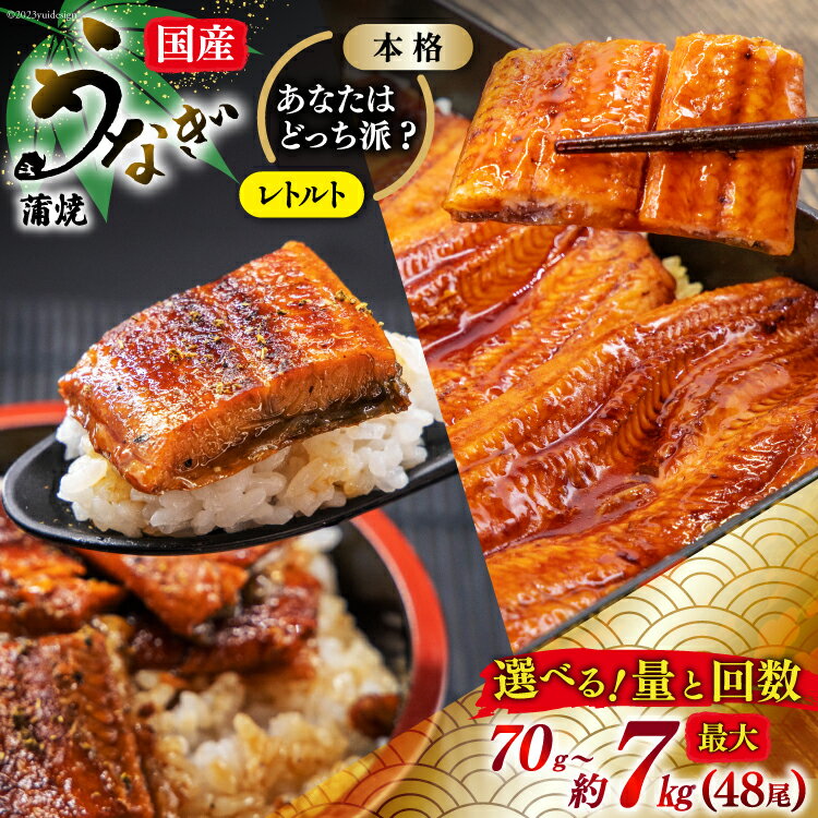【ふるさと納税】 うなぎ 国産 訳あり 蒲焼 雌うなぎ レトルト or 本格派 選べる 種類 量 回数 定期便 [マルニうなぎ加工 静岡県 吉田町 22424561] 鰻 ウナギ unagi 蒲焼き うなぎ蒲焼 めすうなぎ 雌鰻 メスウナギ 丑の日配送 レビューキャンペーン