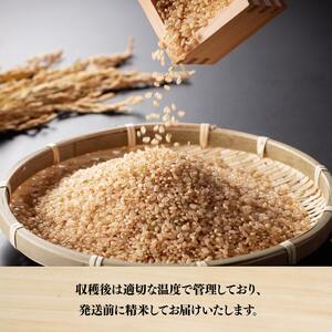【令和7年産】永友農園産「こしひかり(玄米)」5kg　【 米 お米 玄米 国産 宮崎県産 コシヒカリ 】